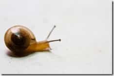 15003338130_0f9e9159db_z