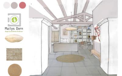 GERER SES EMOTIONS GRACE AU FENG-SHUI