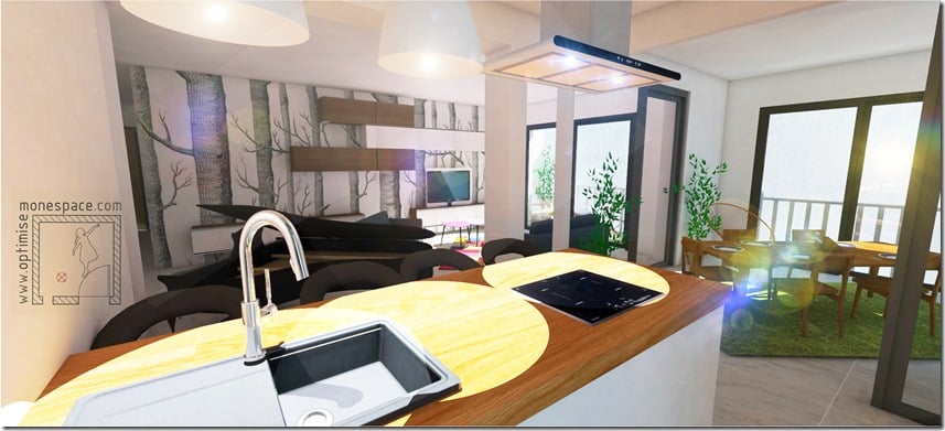 VUE SALON DEPUIS CUISINE