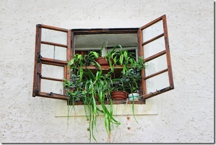 window-891139_960_720_thumb1